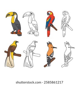 Coloring Book Birds with Guide Color Set