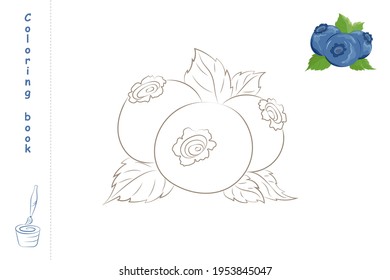 Coloring book blueberry with example. Template for printing. Vector illustration.