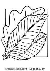 libro de coloreado ramo de hojas vector aislamiento de entrada otoño sobre el esbozo de doodle de trazo blanco