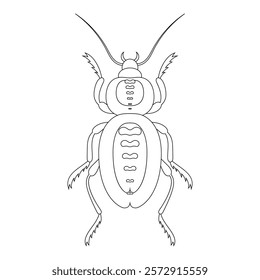 Coloring book of bug, ant beetle. Doodle insect. Nature and biodiversity insect specie. Beetle vector flat illustration.