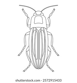 Coloring book of bug, beetle cockroach. Doodle insect. Nature and biodiversity insect specie. Beetle vector flat illustration.