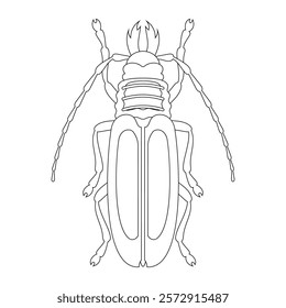 Coloring book of bug, beetle with long antennae and wings. Doodle insect. Nature and biodiversity insect specie. Beetle vector flat illustration.