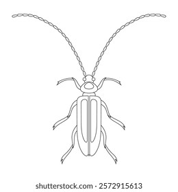 Coloring book of bug, beetle mustache oak. Doodle insect. Nature and biodiversity insect specie. Beetle vector flat illustration.