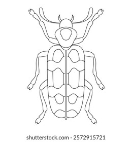 Coloring book of bug, bogger beetle. Doodle insect. Nature and biodiversity insect specie. Beetle vector flat illustration.