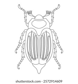 Coloring book of bug, chafer beetle. Doodle insect. Nature and biodiversity insect specie. Beetle vector flat illustration.