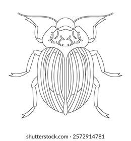 Coloring book of bug, colorado potato beetle. Doodle insect. Nature and biodiversity insect specie. Beetle vector flat illustration.