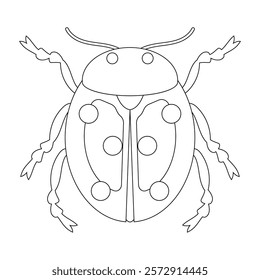 Coloring book of bug, cute ladybug beetle. Doodle insect. Nature and biodiversity insect specie. Beetle vector flat illustration.