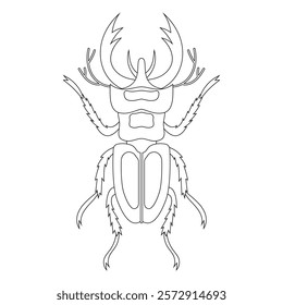 Coloring book of bug, deer beetle. Doodle insect. Nature and biodiversity insect specie. Beetle vector flat illustration.