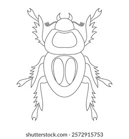 Coloring book of bug, dung beetle. Doodle insect. Nature and biodiversity insect specie. Beetle vector flat illustration.