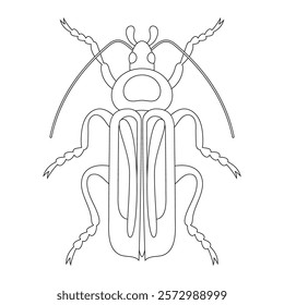 Coloring book of bug, dytiscidae beetle. Doodle insect. Nature and biodiversity insect specie. Beetle vector flat illustration.