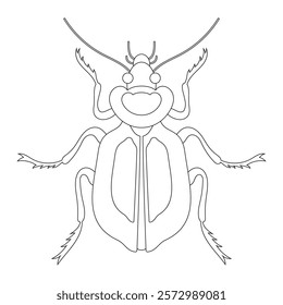 Coloring book of bug, epimetopidae beetle. Doodle insect. Nature and biodiversity insect specie. Beetle vector flat illustration.