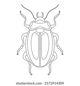 Coloring book of bug, flame beetle. Doodle insect. Nature and biodiversity insect specie. Beetle vector flat illustration.