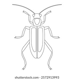 Coloring book of bug, garden beetle. Doodle insect. Nature and biodiversity insect specie. Beetle vector flat illustration.