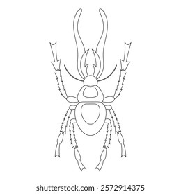 Coloring book of bug, hornet beetle. Doodle insect. Nature and biodiversity insect specie. Beetle vector flat illustration.