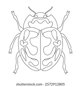 Coloring book of bug, ladybug beetle. Doodle insect. Nature and biodiversity insect specie. Beetle vector flat illustration.