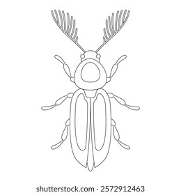 Coloring book of bug, mustachioed beetle. Doodle insect. Nature and biodiversity insect specie. Beetle vector flat illustration.