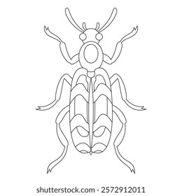 Coloring book of bug, queen bee beetle. Doodle insect. Nature and biodiversity insect specie. Beetle vector flat illustration.