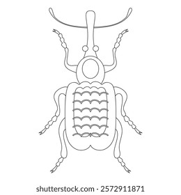 Coloring book of bug, weevil beetle. Doodle insect. Nature and biodiversity insect specie. Beetle vector flat illustration.