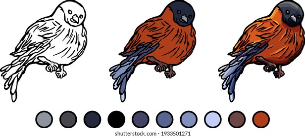 Coloring book, bullfinch on white background, cartoon style, doodle, flat style, isolated on white background, education, play, bird, fun, coloring, for children, childhood, example, paints, develop