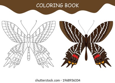Coloring book butterfly Glory of Bhutan with example. Template for printing. Vector illustration.