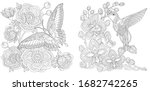 Coloring book. Butterfly and peony flowers. Hummingbird and orchid flower. Line art design for adult or kids colouring page in zentangle style. Vector illustration. 