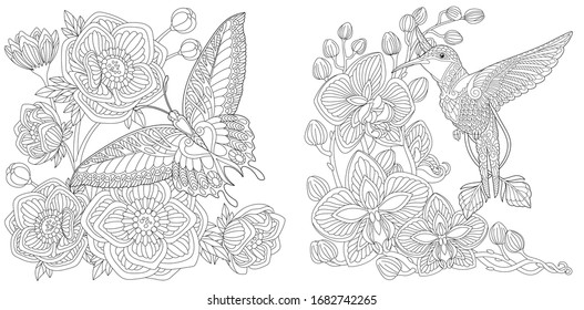 Coloring book. Butterfly and peony flowers. Hummingbird and orchid flower. Line art design for adult or kids colouring page in zentangle style. Vector illustration. 