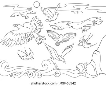 coloring book cartoon for children. Above the sea birds of different kinds fly. Black and white lines vector illustration