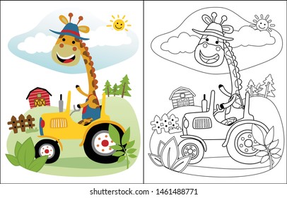 Coloring book of cartoon funny giraffe driving tractor on farming background