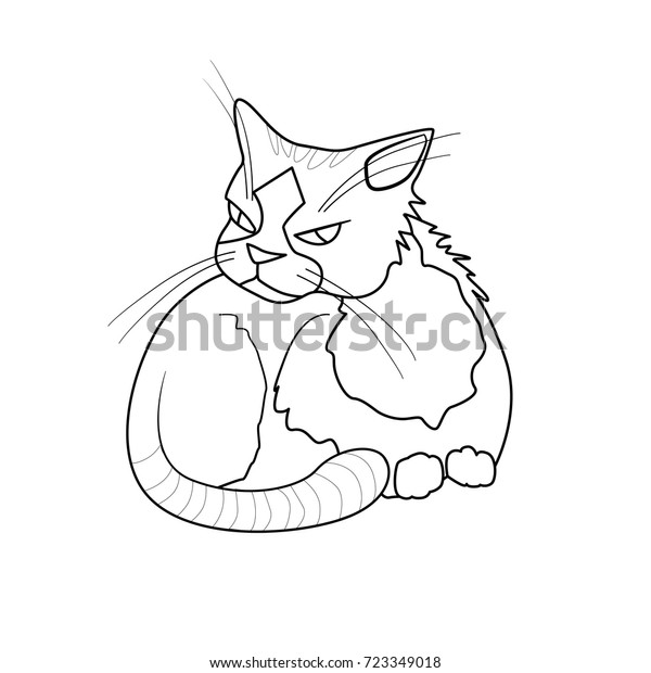 Coloring Book Cartoon Grumpy Cat Stripes Stock Vector Royalty Free 723349018