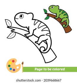 Libro de color, imagen vectorial de camaleón