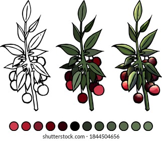 Coloring book of cherry on white background, cartoon style, doodle, flat style, isolated on white background, education, cherry, coloring, for children, childhood, example, paints, develop, draw, fun