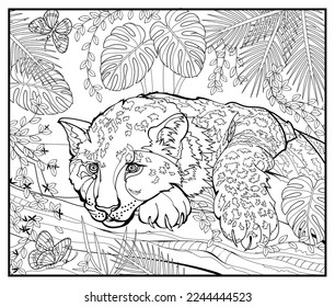 Coloring book for children and adults. Cute little leopard in jungle. Animals for coloring. Illustration in zentangle style. Printable page for drawing and meditation. Black and white vector.