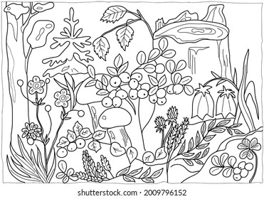 Coloring book for children and adults. Nature. Forest, tree, spruce, mushrooms, grass, berries, flowers, leaves. Hand drawn. black and white vector illustration.