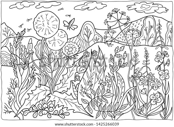 Coloring Book Children Adults Nature Forest Stock Vector (Royalty Free ...