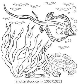 Coloring book for children and adults. Sea animals. Fish. Catfish. Hand drawn. Black and white vector illustration.