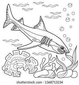 Coloring Book Children Adults Sea Animals Stock Vector (Royalty Free ...