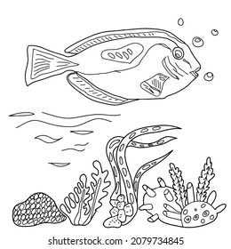 Coloring book for children and adults. Sea creatures. Fish, seaweed. Hand drawn. Black and white vector illustration.