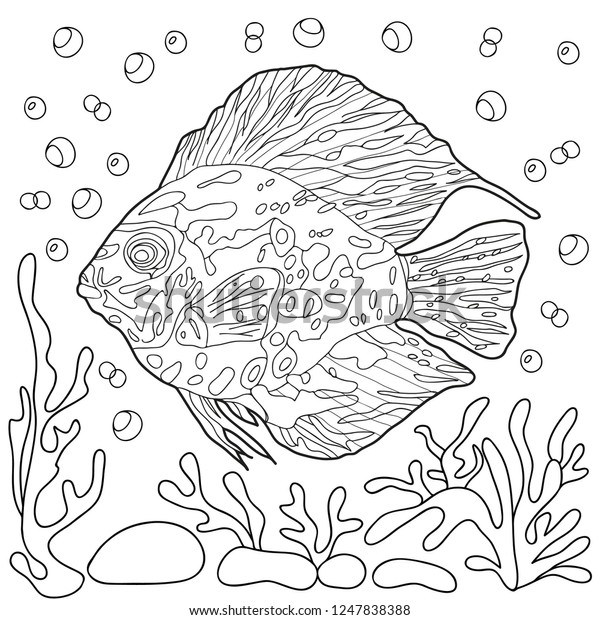 Coloring Book Children Adults Sea Creatures Stock Vector (Royalty Free