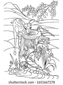 Coloring book for children animals in the wild fawn drinks water from the fountain