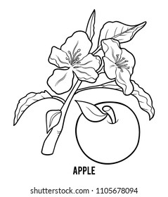 Coloring book for children, Apple tree