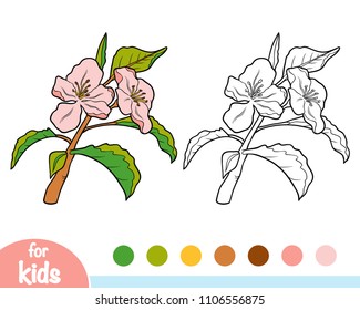 Coloring book for children, Apple tree branch