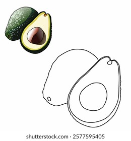Coloring book for children (avocado). Coloring book, education game for children.