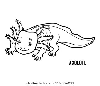 Coloring book for children, Axolotl