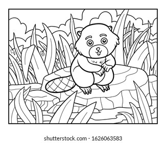 Coloring book for children, Beaver sits on a stone by the river