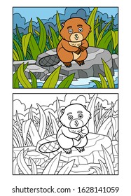 Coloring book for children, Beaver sits on a stone by the river