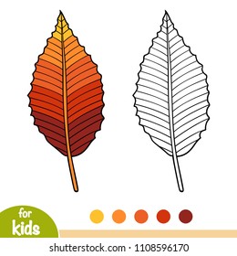 Coloring book for children, Beech leaf