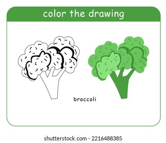 Coloring book for children. Broccoli in color and black and white.