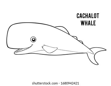 Coloring book for children, Cachalot whale