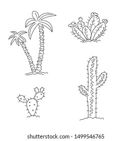 coloring book for children. cacti and palm trees.