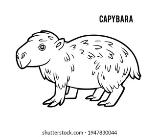 Coloring book for children, Capybara